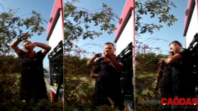 İtfaiye ekipleri ağaçta mahsur kalan kuş için seferber oldu