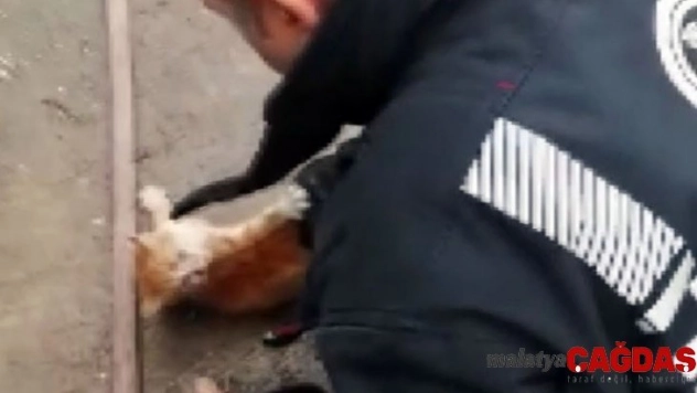 İtfaiye ekiplerinden yavru kedi kurtarma operasyonu