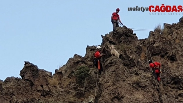 İtfaiye ve AKUT keçiyi kurtarmak için seferber oldu