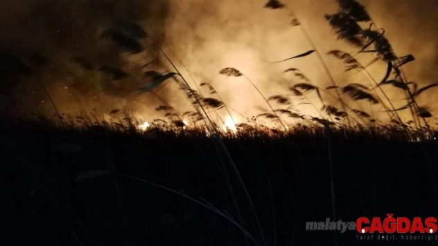 İznik Gölü kıyısında sazlık yangını