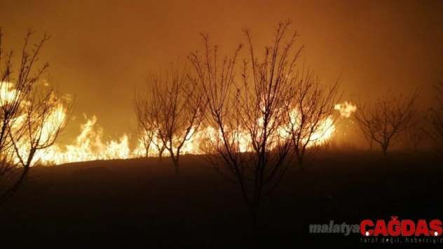 İznik Gölü'ndeki sazlık yangını kontrol altına alındı