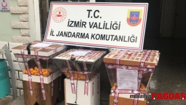 Jandarma 99 kişiyi kumar oynarken suçüstü yakaladı