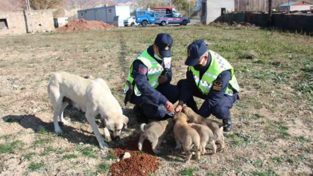 Jandarma ekibinin davranışı yürek ısıttı