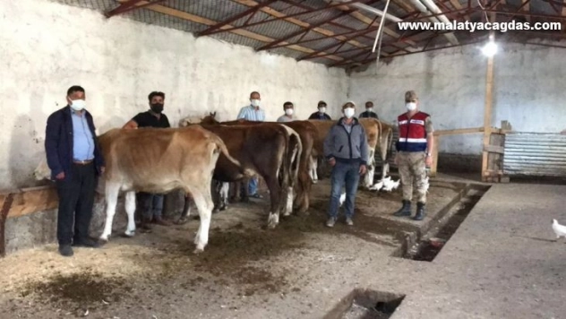 Jandarma hayvan hırsızlarına göz açtırmıyor