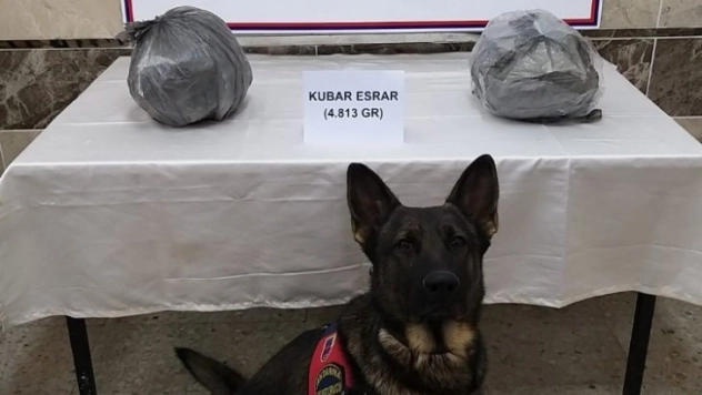 Jandarma kaçakçılara geçit vermedi