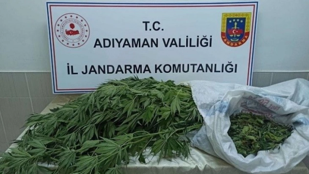 Jandarma, kenevir bitkisi ve esrar maddesi ele geçirdi