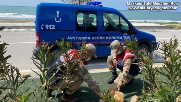 Jandarma sokak hayvanları unutmadı