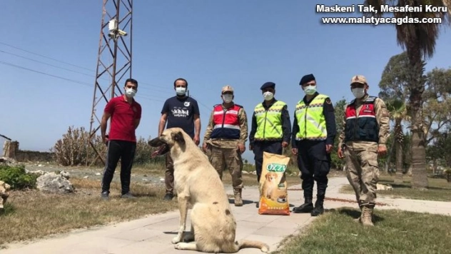 Jandarma tam kapanmada sokak hayvanlarını unutmadı