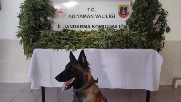 Jandarma uyuşturucuya geçit vermiyor