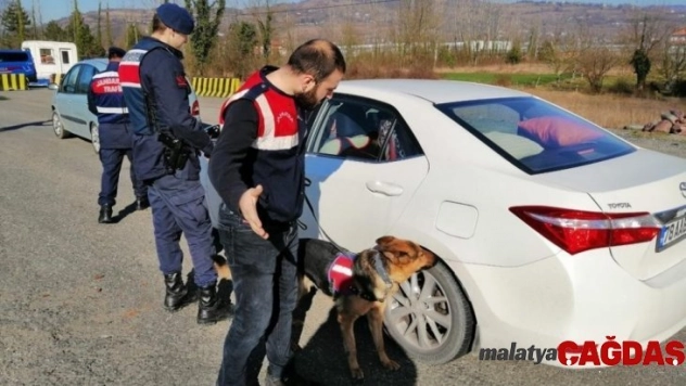 Jandarmadan 53 ekiple narkotik uygulaması