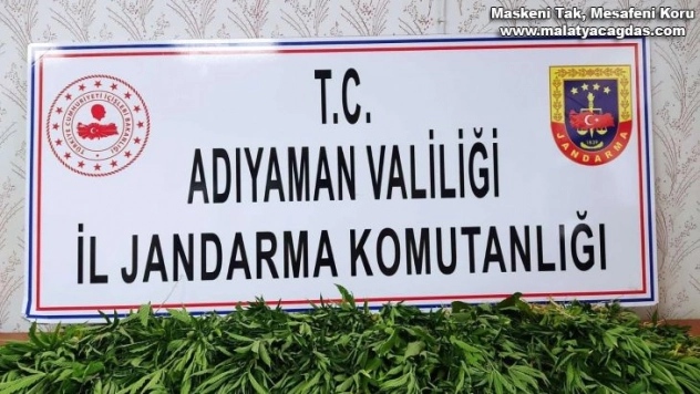 Jandarmadan uyuşturucu operasyonu