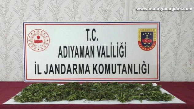 Jandarmadan uyuşturucu operasyonu