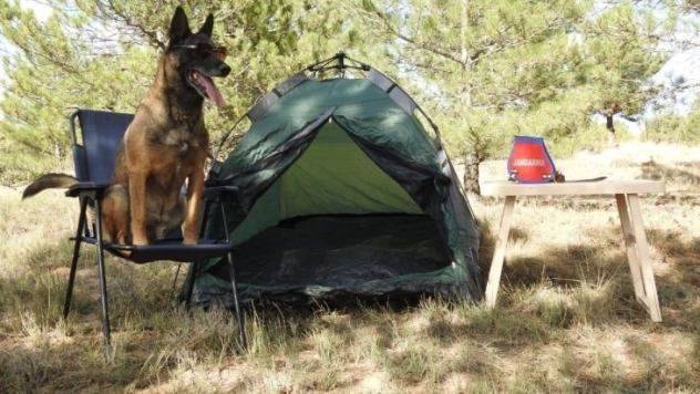 Jandarmanın 'Cimri'si emekli oldu