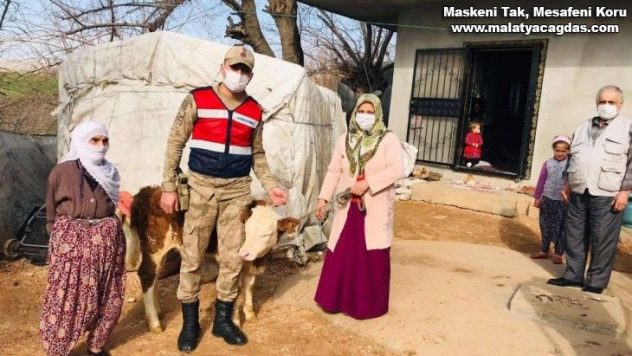 JASAT, hayvan hırsızlığı olayını aydınlattı