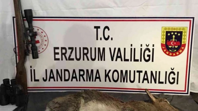 Kaçak avcılar jandarmadan kaçamadı