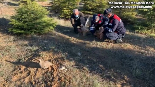 Kaçak avcılar yakalandı 5 bin TL ceza kesildi