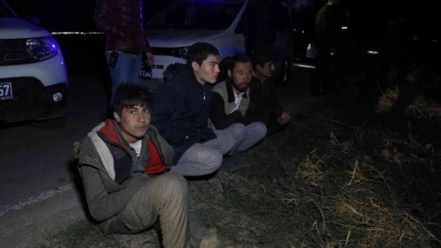 Kaçak göçmen taşıyan minibüs polisten kaçarken pamuk tarlasına devrildi