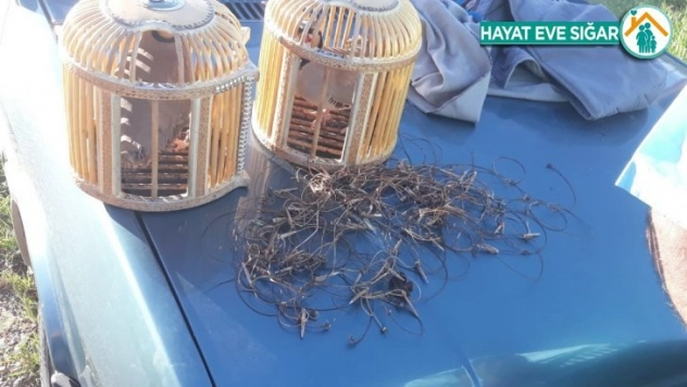 Kaçak keklik avı yapan 6 kişiye 10 bin TL ceza