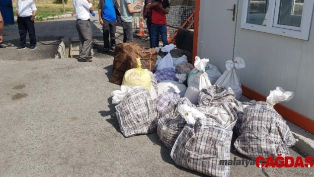 Kaçak salep toplayıcılarına büyük ceza