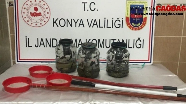 Kaçak sülük avcılarına 221 bin lira ceza