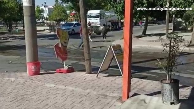 Kaçan dana zor anlar yaşattı