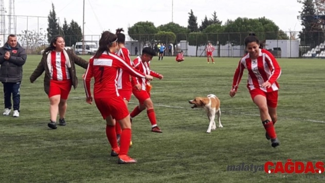 Kadınlar futbol maçında davetsiz misafir