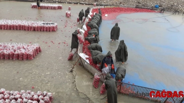 Kadınların soğuk suda ekmek mücadelesi