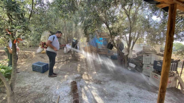 Kadirli'de haşereyle mücadele