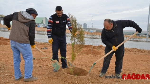 KAEÜ'sinde ağaçlandırma çalışmaları