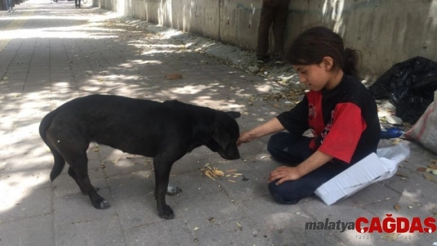 Kağıtçı küçük kız yiyeceğini sokak köpeğiyle paylaştı