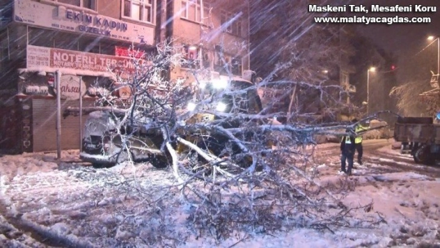 Kağıthane'de yoğun kar yağışı nedeniyle yol kenarındaki ağaç devrildi