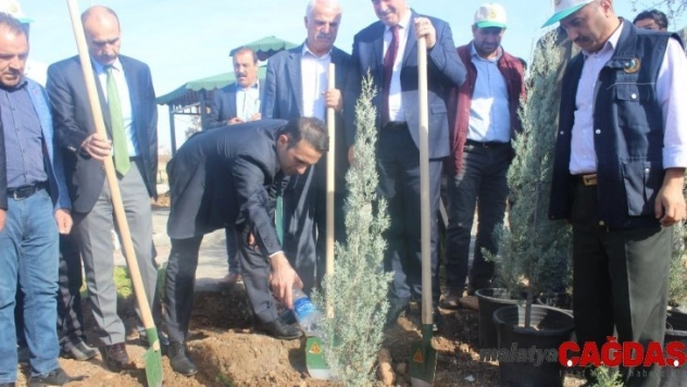 Kahta'da, 2 bin 500 fidan toprakla buluştu