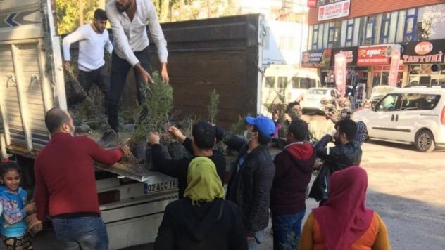 Kahta'da 20 bin fidan dağıtıldı
