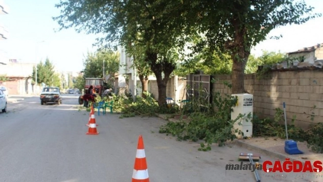 Kahta'da, ağaç budama çalışmalarına başlanıldı