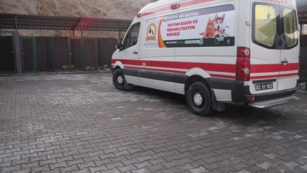 Kahta'da hayvan barınağı faaliyete geçti