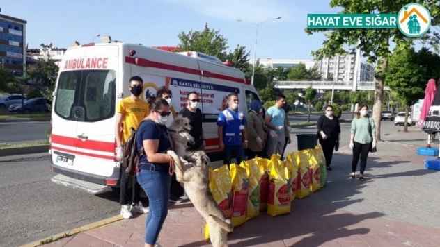 Kahta hayvan bakım merkezine 1 ton mama desteği