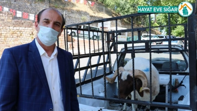 Kalenin açılışına sevindi, koç kurban etti