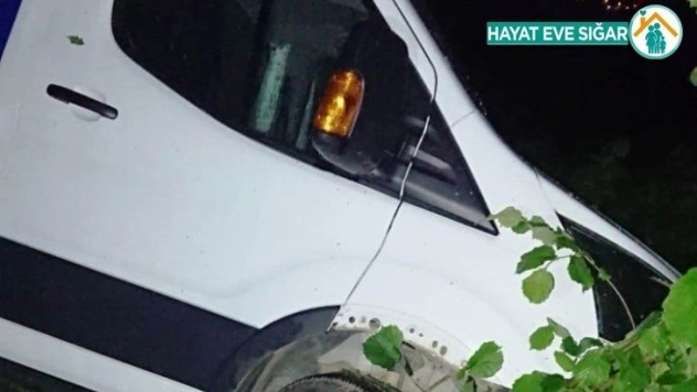 Kamyonet fındık bahçesine yuvarlandı: 1 yaralı