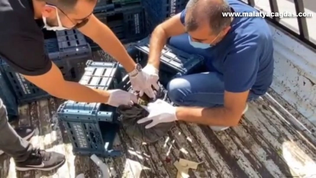 Kamyonetin kasasından 958 gram esrar çıktı, 2 şüpheli gözaltına alındı