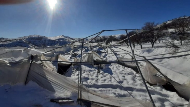 Kar altında kalan seralar zarar gördü