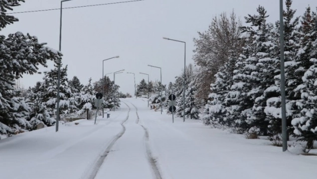 Kar hayatı felç etti