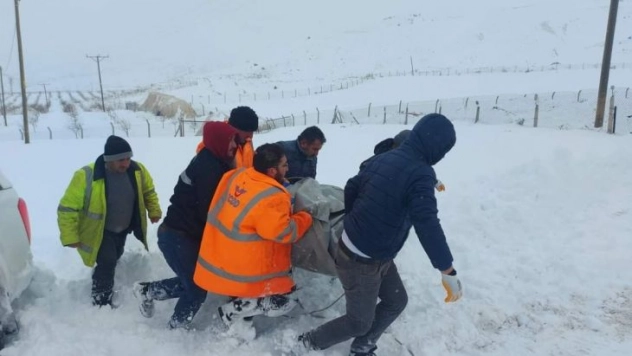 20 küçükbaş hayvan telef oldu