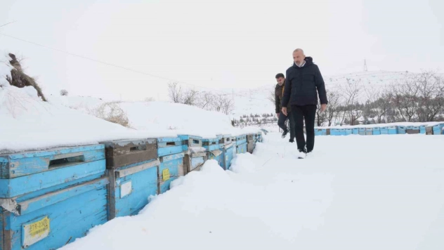 Arıcılar sezonundan ümitli