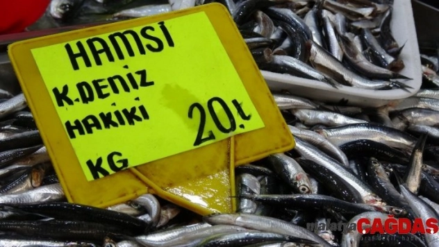 Karadeniz hamsisinin kilogram fiyatında düşüş sürüyor