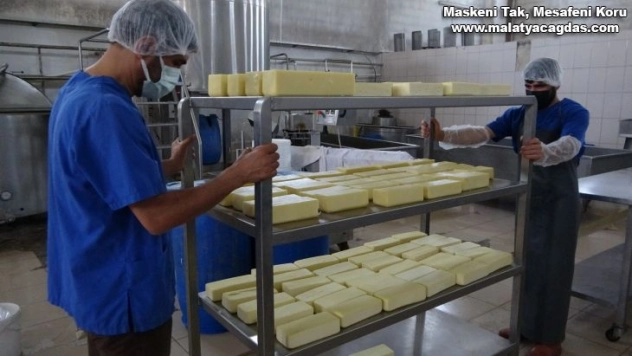 Karadeniz'in mıhlama peynir ihtiyacı Muş'tan
