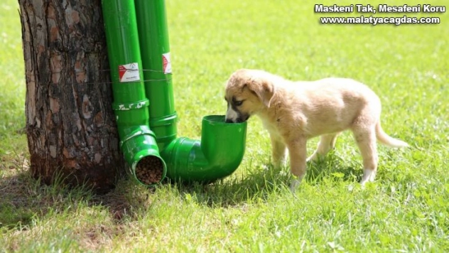 Karaköprü'de sokak hayvanları unutulmadı