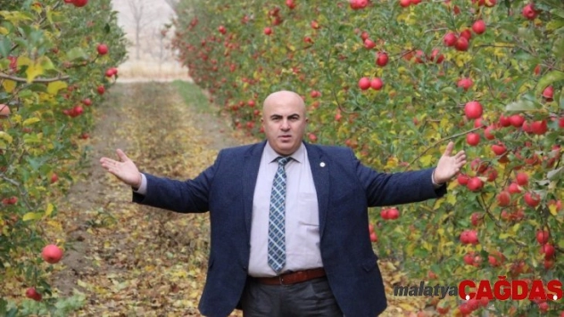 Karaman'da mevsimin son elma hasadı yapıldı