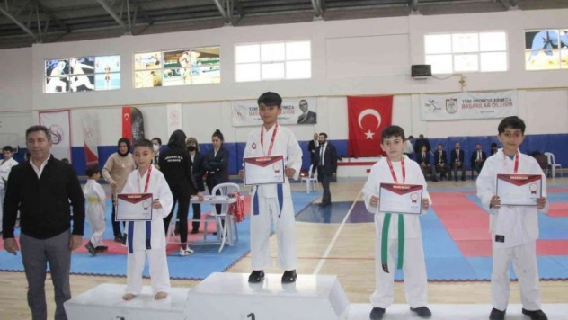 Karatede madalyalar sahiplerini buldu