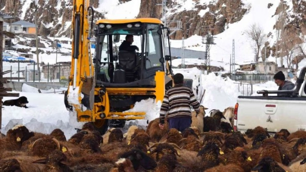 Karla mücadele ekipleri mahsur kalan sürü için seferber oldu