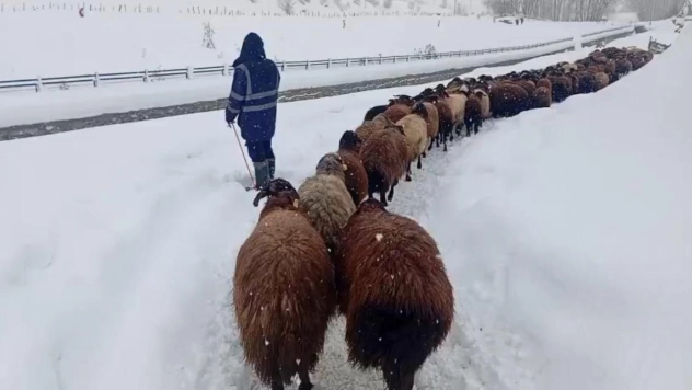 Karlıova'da besicilerin zorlu kış mesaisi